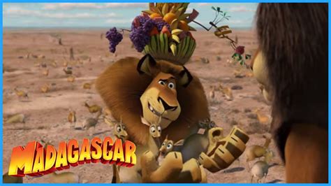 Dreamworks Madagascar A Real Lion Madagascar Escape 2 Africa Movie