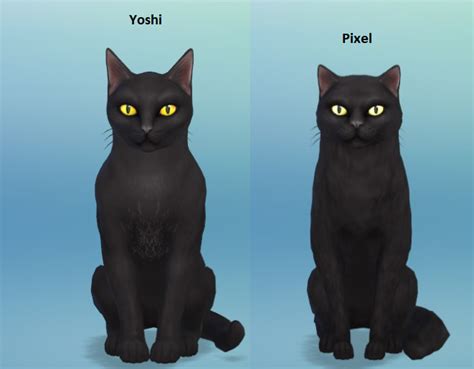 Sims 4 Pet Mods Cats Bdaexotic
