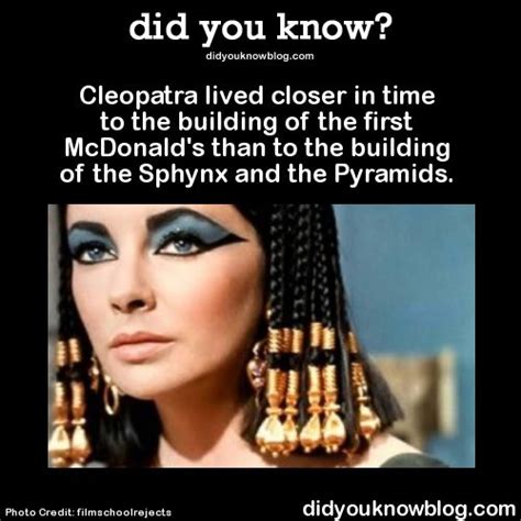 Fun Fact Did You Know Facts Wtf Fun Facts Cleopatra Facts