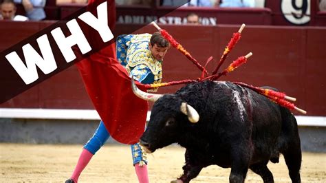 Spanish Bull Fights Explained Why Are They Taking Place Youtube