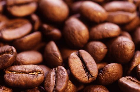 Free Photo Brown Coffee Beans Aroma Background Beans Free