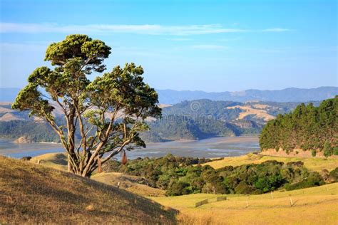 A View On The Scenic Coromandel Peninsula New Zealand Stock Image