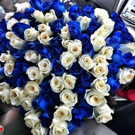 Blue And White Roses Pictures Photos And Images For Facebook Tumblr