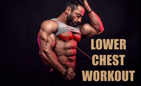 Check spelling or type a new query. How to Perform Lower Chest Workout at home - Secrets of ...