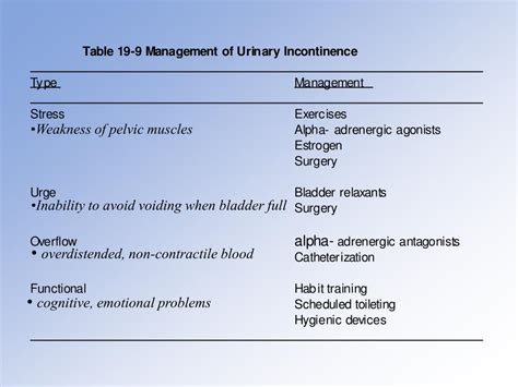 Ppt Aging Of The Urinary Tract Kidney Lower Urinary Tract Powerpoint