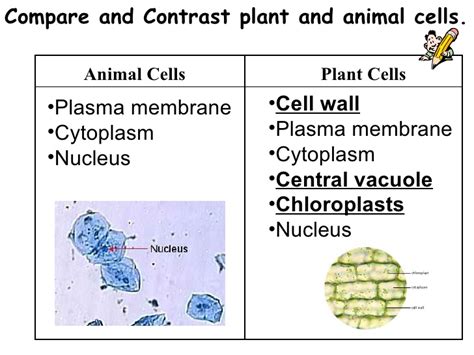Maybe you would like to learn more about one of these? Bio 1100 chapter 4 sp11