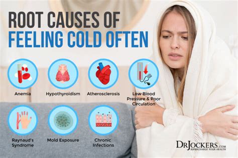 Feeling Cold Often Root Causes And Support Strategies