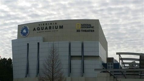 Virginia Aquarium And Marine Science Center Virginia Beach Aquarium