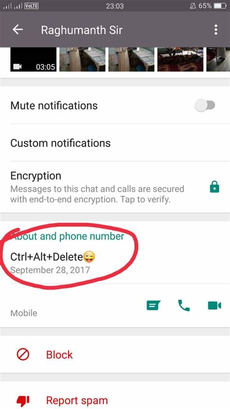 The second one allows you to give only a select few of your contacts the ability to see. What is the funniest WhatsApp status you have come across ...