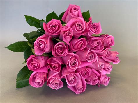 Two Dozen Soulmate Roses The Rosarium Premium Flower Delivery