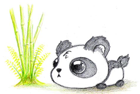 Panda Drawing Baby Panda Bear By Il Ja Panda Drawing