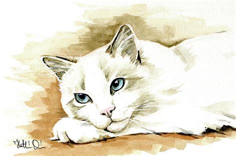 Bicolor Ragdoll Cat Portrait Painting By Dora Hathazi Mendes Fine Art