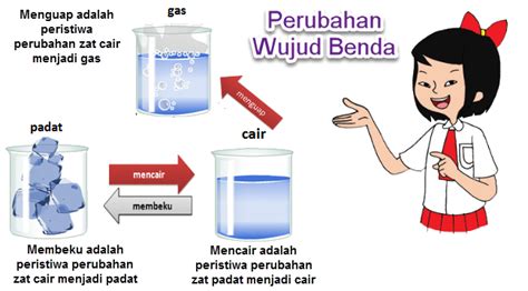 Perubahan Wujud Benda Mencair Membeku dan Menguap | Mikirbae