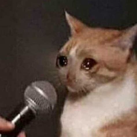 Cat Crying When Interviewed With A Microphone Meme Keep Meme