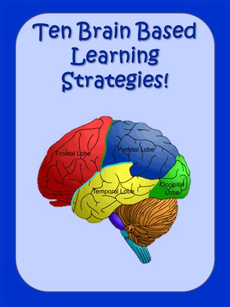 The Brain Is Shown With Words That Readten Brain Based Learning
