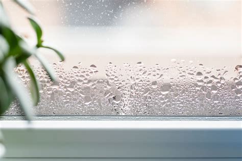 How Humidity Affects Your Health And Your Home