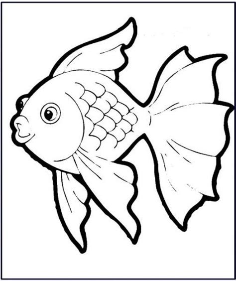 Gambar Ikan Untuk Mewarnai Materi Soal