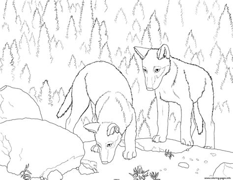 Realistic Wolf 2 Coloring Pages Printable Printable Realistic Head