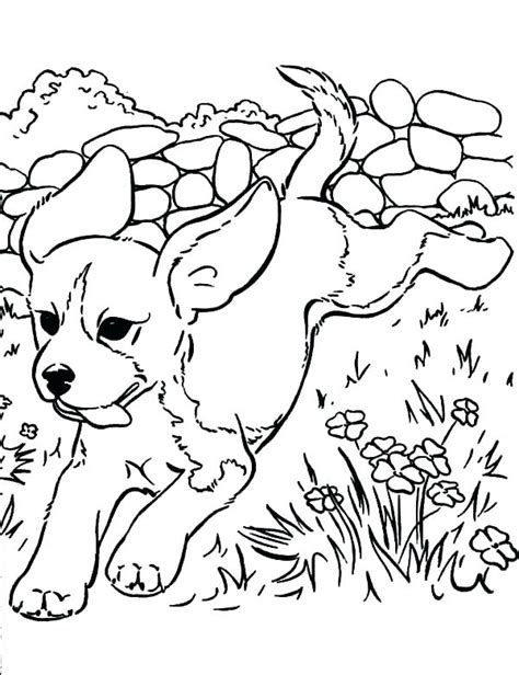 Coloring Pages Of Cute Baby Puppies At Free