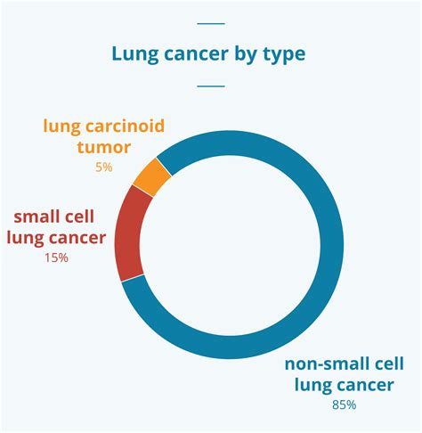 lung cancer stages survival rates and more