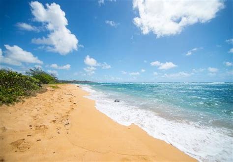 Fuji Beach Baby Beach Kapaa In Kauai Hawaiian Planner