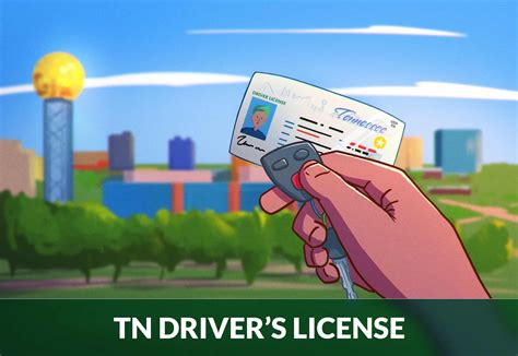 Tennessee Drivers License Renewal Guide Zutobi Drivers Ed