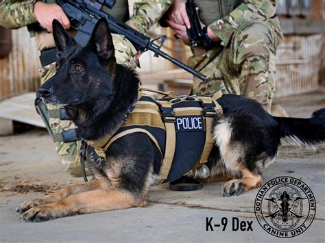 DPD K9 of the day Dex – Dothan Police Department