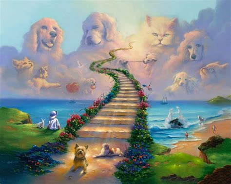 Rainbow Bridge The Poem That Helps People Cope With The Loss Of A