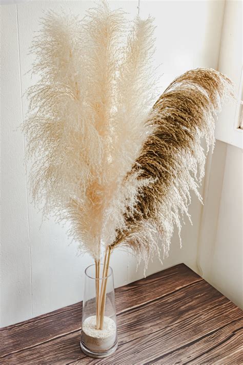 Pampas Grass Decor 5 Stems Tall Natural Dried Pampas For Home Etsy Uk