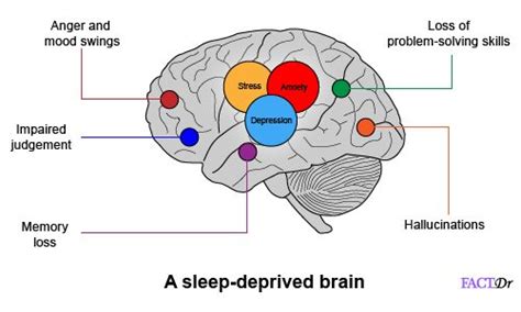 10 Reasons Why Sleep Deprivation Is Harmful For You Factdr