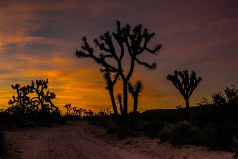 Desert Sunset Joshua Tree California Travel Past 50