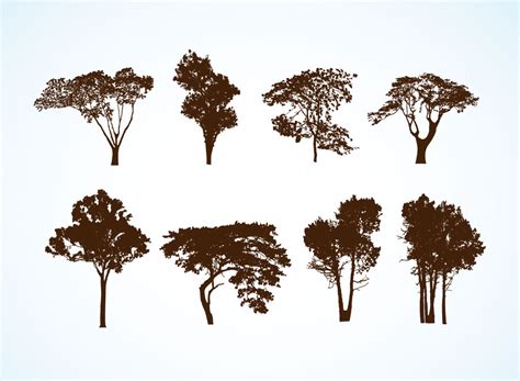 Free Trees Silhouette Vector Download Free Trees Silhouette Vector Png