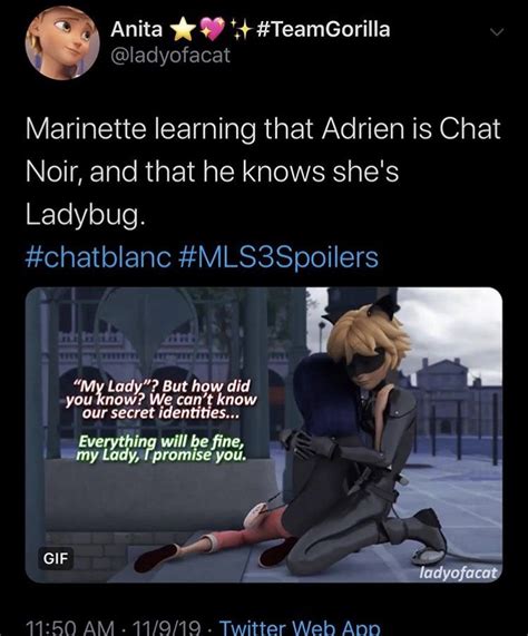 Pin By Moon On Miraculous Miraculous Ladybug Memes Miraculous