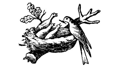 Nestle Bird Logo