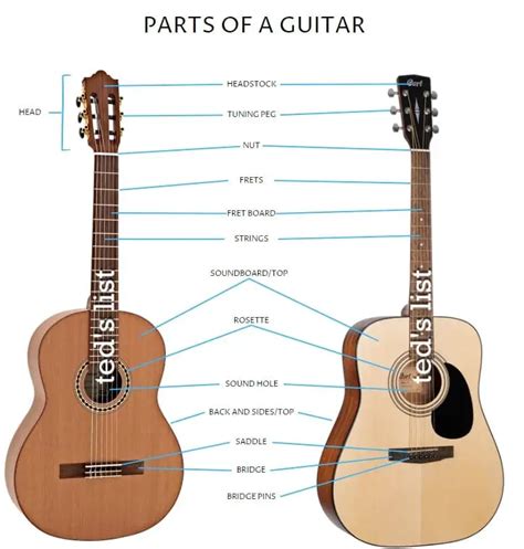 Classical Vs Acoustic Guitar Teds List
