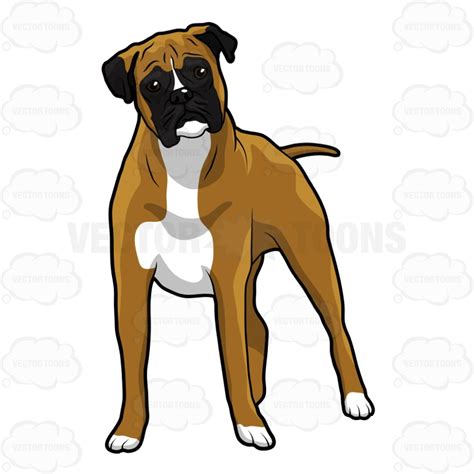 Boxer Dog Clipart 20 Free Cliparts Download Images On Clipground 2024