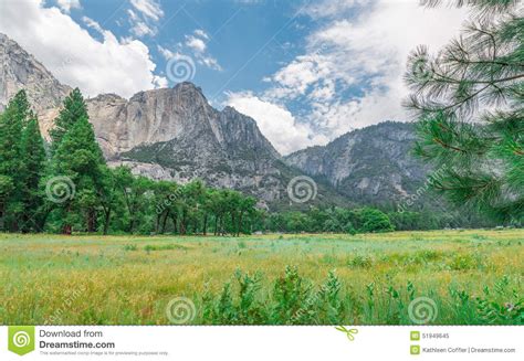 Yosemite Valley Summer Grassy Field Stock Image Image Of Yosemite