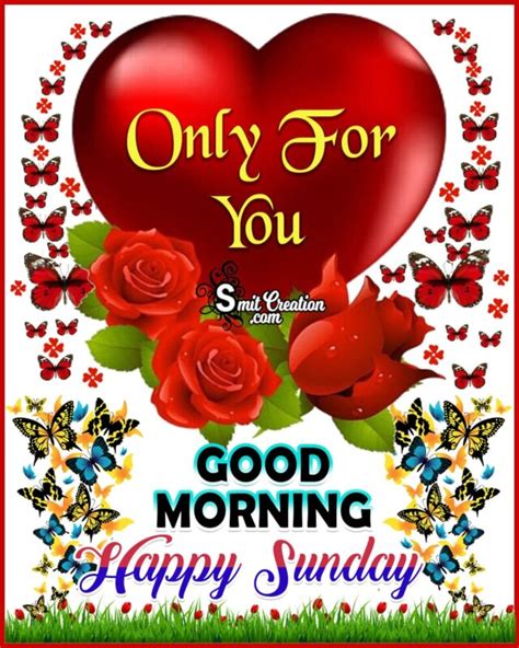 Outstanding Compilation Of 999 Stunning Full 4k Good Morning Happy Sunday Images