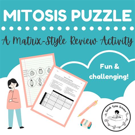 Mitosis Logic Puzzle A Cell Cycle Review Activity Classful