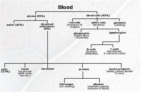 Know the blood basics,blood components, blood donation techniques and blood donor eligibility criteria. Blood composition and Plasma - Biology Notes for IGCSE 2014