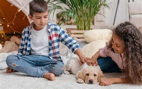 Best Pets For 10 Year Olds Pets Retro