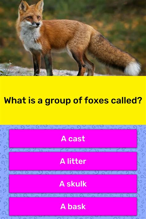 (botany) any member of the family cactaceae, a family of flowering new world succulent plants suited to a hot. What is a group of foxes called? | Trivia Answers | QuizzClub