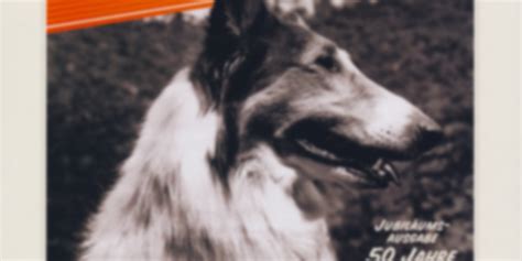Lassie Volume 2 Dvd Oder Blu Ray Leihen Videobuster