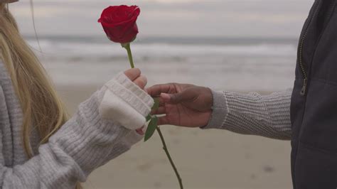 Guy Giving Girlfriend A Rose Filmpac