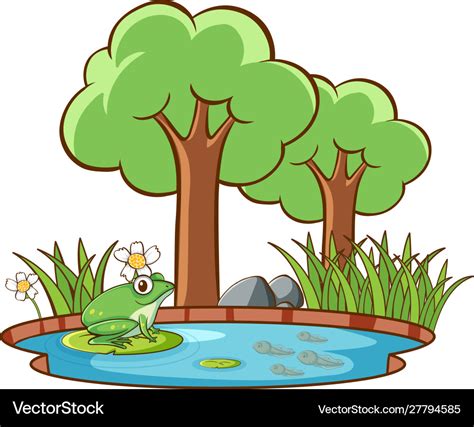 Isolated Picture Frog Pond Royalty Free Vector Image