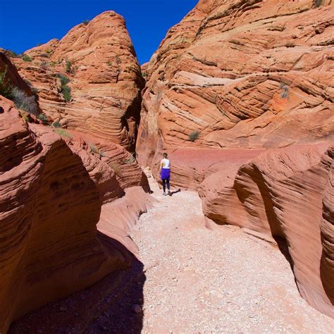 Buckskin Gulch Kanab All You Need To Know Before You Go