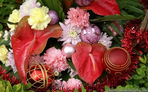 Christmas Floral Wallpapers Wallpaper Cave