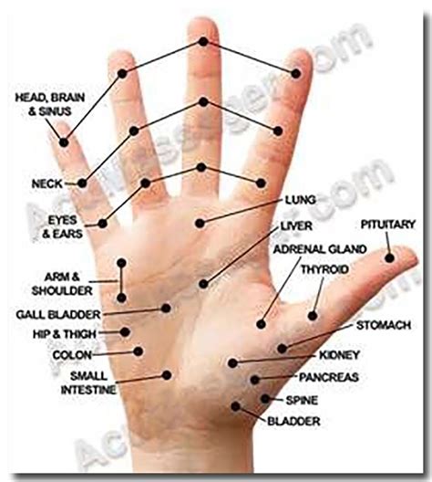 The Basics Of Using Acupuncture For Your Ailments Acupressure Treatment Acupuncture Points