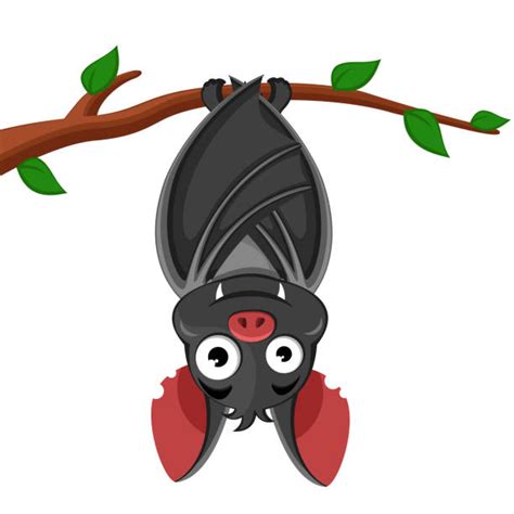 Bat Hanging Upside Down Illustrations Royalty Free Vector Graphics