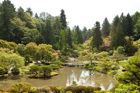 Photos Japanese Garden At Seattle Arboretum Paul S Randal